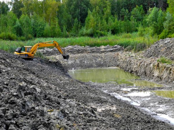 Fish Pond Digging in Renton