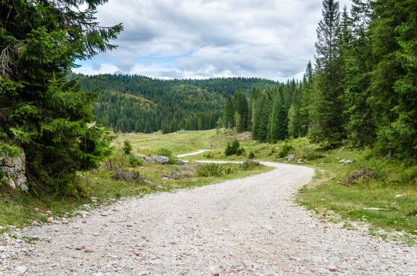 Gravel Road Grading in Renton