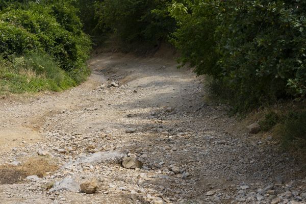 Gravel Road Pothole Repair in Renton