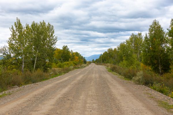 Dirt Road Repair in Renton