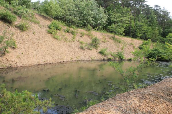 Pond Erosion Repair in Renton
