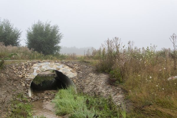 Culvert Excavation in Renton
