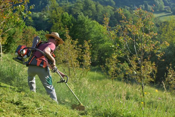 Cost of Slope Trimming in Renton